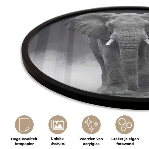 Olifant - Zwart - Wit - Rook Fotolijst rond zonder passe partout klein -closeup_NL