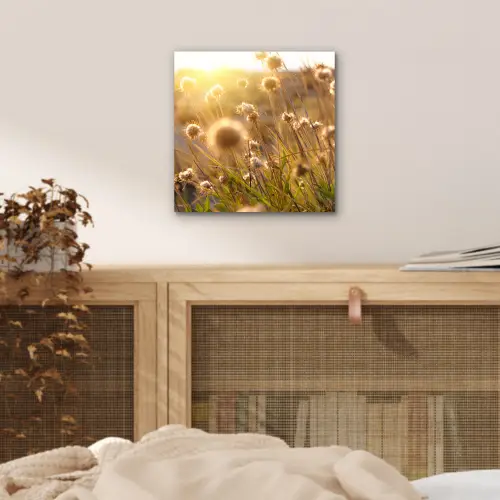 Planten - Natuur - Bloemen - Zon - Horizon aluminium wit klein -sfeer3