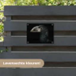 Vogel - Portret - Neushoornvogel - Zwart - Dieren tuinposter los doek klein -sfeer3