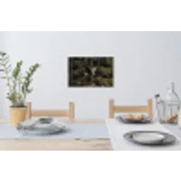 Zeearend - Vliegen - Bos - Natuur Muursticker klein -eettafel