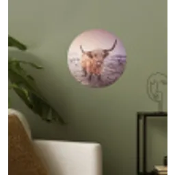 Schotse hooglanders - Licht - Lucht - Natuur Wandcirkel behangsticker klein -sfeer2