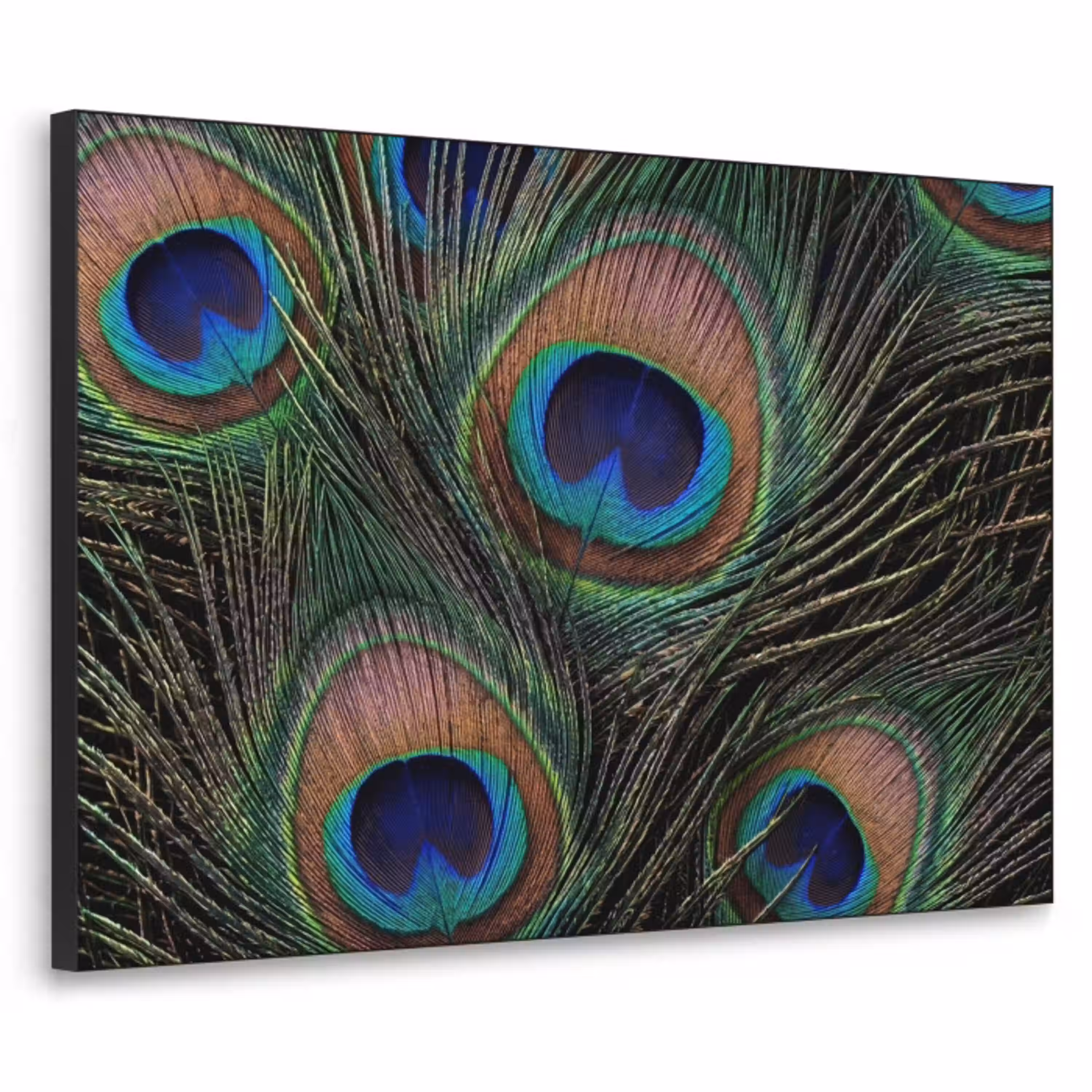 Pauwenveren - Klassiek - Groen Textielframe zwart klein -3d