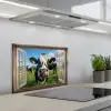Doorkijk - Koe - Weiland - Dieren - Natuur keuken achterwand spatscherm klein -3d_schuin