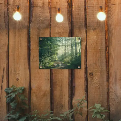 Bos - Pad - Zon - Bomen - Groen - Natuur tuinposter los doek klein -sfeer1