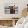 Schotse hooglander - Bruin - Water PET vilt klein -sfeer3