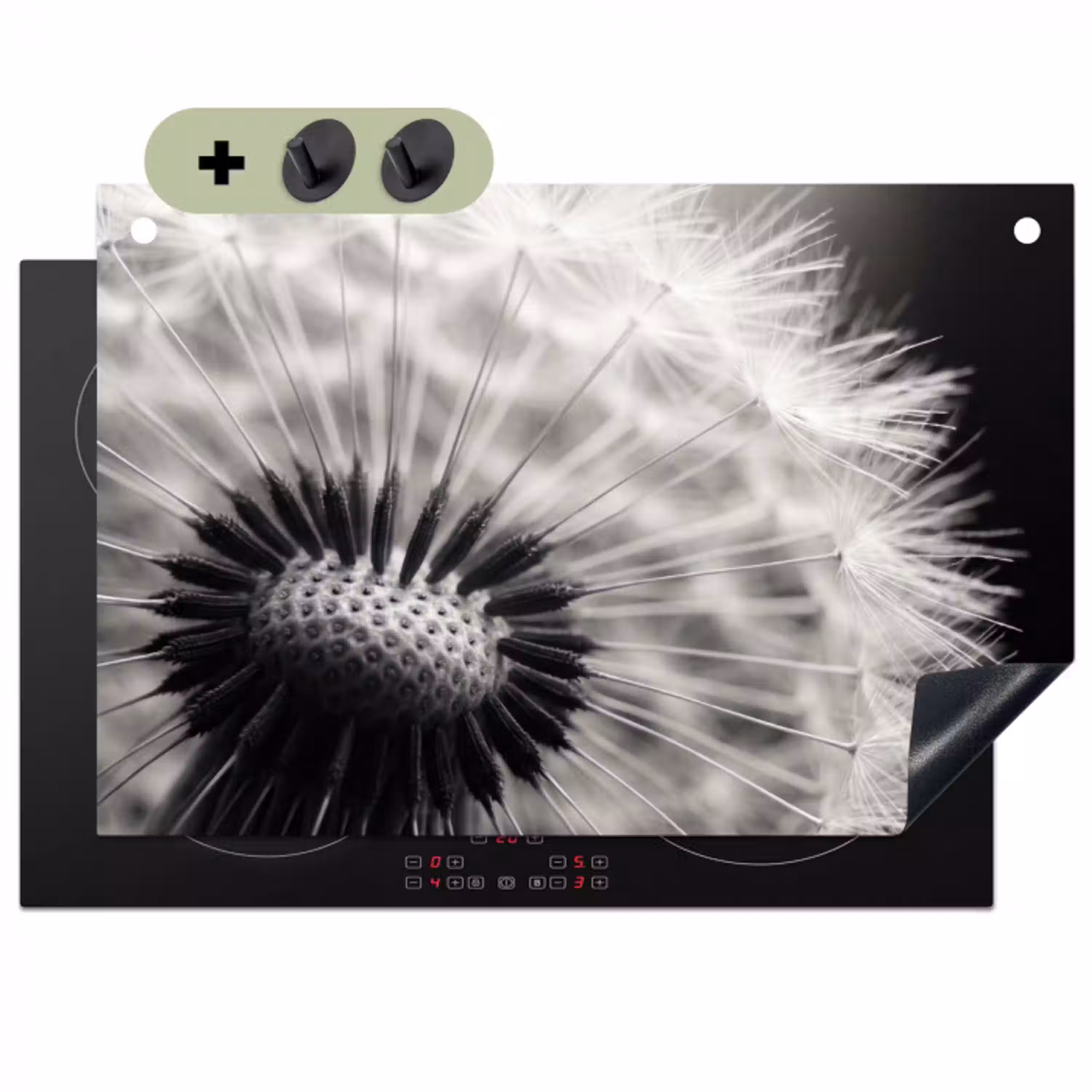 Paardenbloem - Zwart - Wit Inductie beschemer met haakjes klein -3d