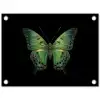Vlinder - Groen - Diepte tuinposter los doek klein -3d