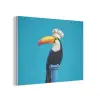 Tucan - Sokkel - Vogel - Koksmuts PET vilt klein -3d