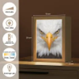 Amerikaans - Zeearend - Portret - Geel Light Box met kabel (Kinderlampje) klein -USP_FR