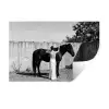 Vrouw - Paard - Artistiek Muursticker klein -3d