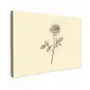 Illustratie - Zwart - Roos Tuinposter op houten frame 2 cm dik klein -3d