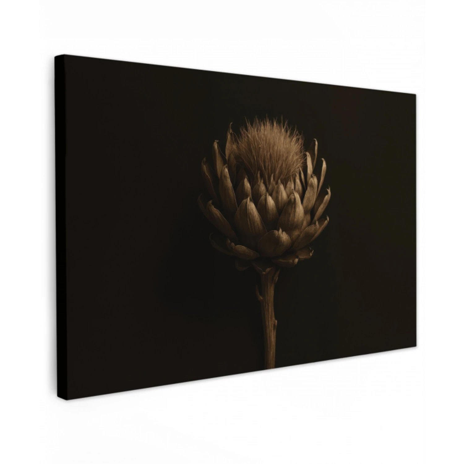 Donkerbruin - Bloem - Textuur - Artisjok canvas 2cm klein -z3d