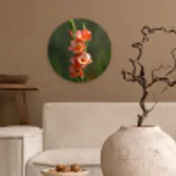 Bloem - Gladiolen - Zalmroze Wandcirkel kunststof plaat 5mm dik klein -sfeer1