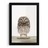 Uil - Bruin - Uilskuikentjes - Kinderen - Jongens - Meisjes fotolijst zwart zonder passe partout klein -3d