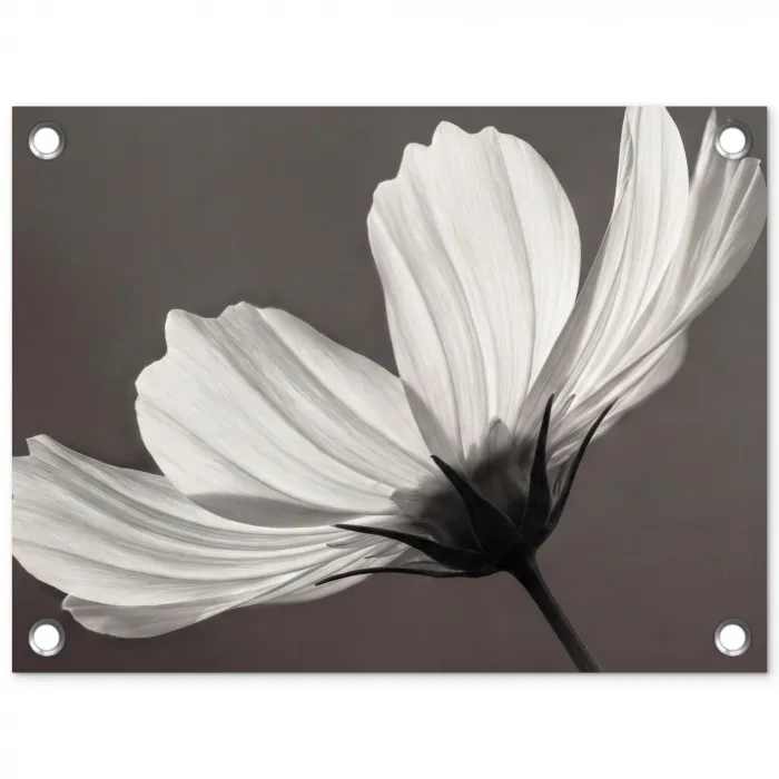 Bloem - Minimalistisch - Zwart - Wit tuinposter los doek klein -3d