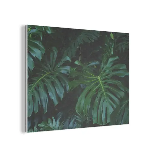 Monstera -  Inductie beschermer - Bladeren - Tropical - Afdekplaat voor kookplaat PET vilt klein -3d