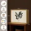 Ovaalvormige bladeren - Diep groen - Symmetrisch Light Box met batterij (Wandlamp) middel -USP_websiteoverzichtNL