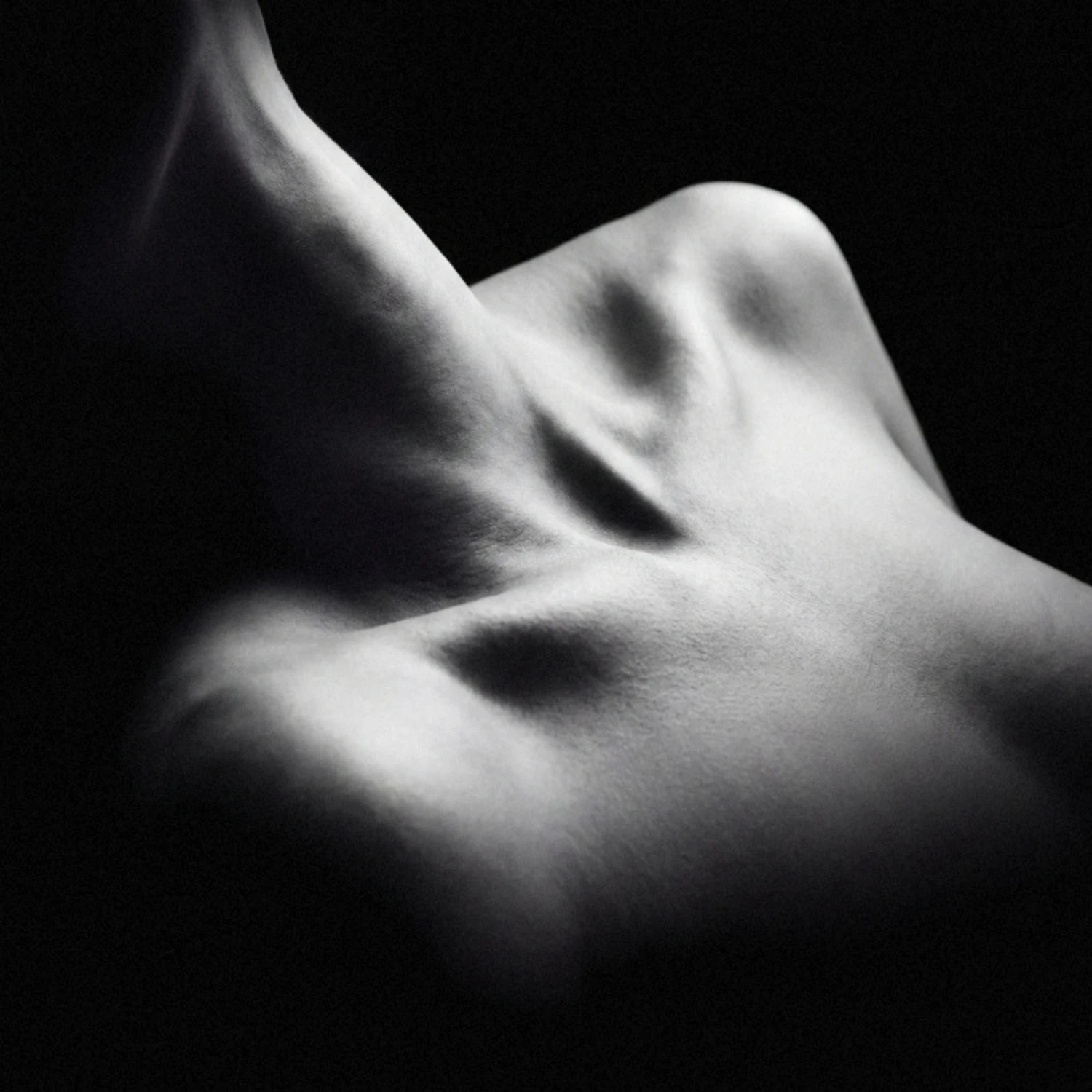 1213-1x1-behang-vinyl-xxl-3d-website.jpg