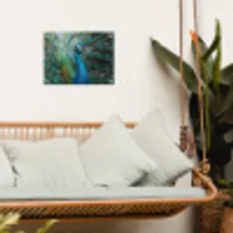 Pauw - Veren - Blauw tuinposter los doek klein -sfeer7