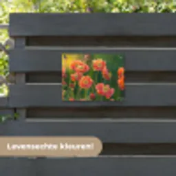 Bloemenveld - Zonnestralen - Oranje tuinposter los doek klein -sfeer3
