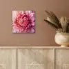 Dahlia - Bloem - Close up - Roze aluminium wit klein -sfeer4