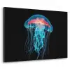 Kwal - Tentakels - Blauw - Licht Textielframe zwart klein -3d