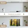 Bos - Zon - Bomen - Gras - Landschap  - Natuur keuken achterwand spatscherm klein -voor_na_FR