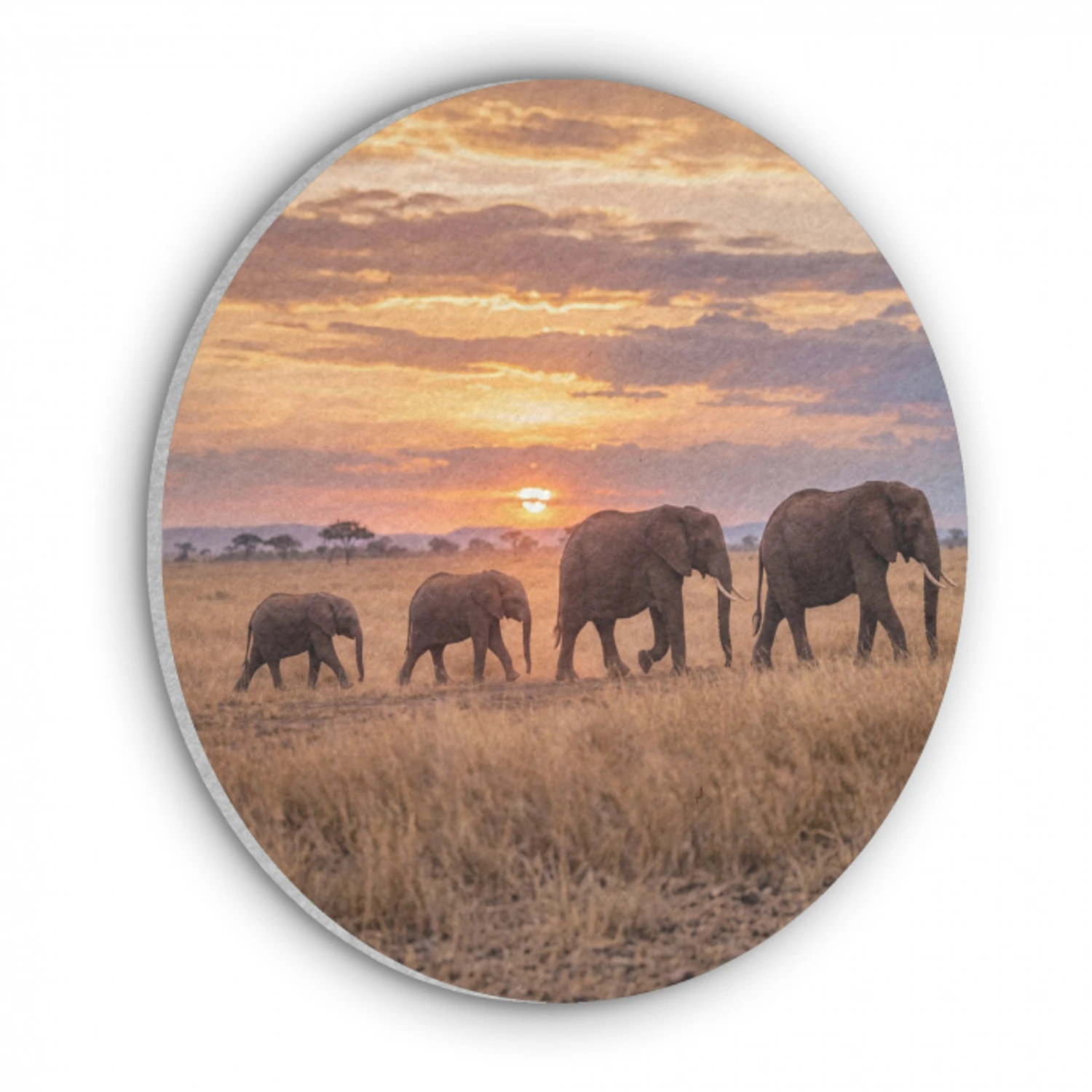 Olifanten - Savanne - Zonsondergang - Afrika - Warm Akoestische PET Vilt - Rond klein -3d