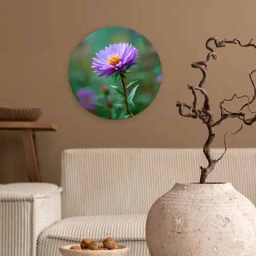 Aster - Paars - Bloem - Blaadjes Wandcirkel kunststof plaat 5mm dik klein -sfeer1