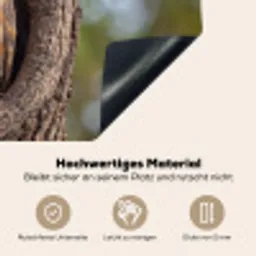 Kerkuil - Boom - Natuur - Bruin Inductie beschemer met haakjes klein -ky-onderkant-de