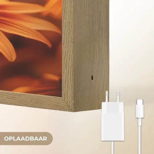 Vlinder - Bloemen - Oranje Light Box met batterij (Wandlamp) middel -USP_websiteoplaadbaarNL