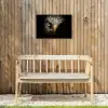 Indringende blik van een arend Tuinposter op houten frame 2 cm dik klein -sfeer4
