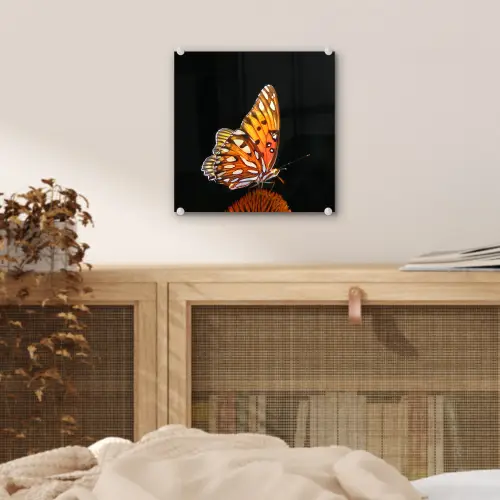 Vlinder - Bloemen - Insect - Portret - Zwart - Oranje plexiglas 5mm klein -sfeer4