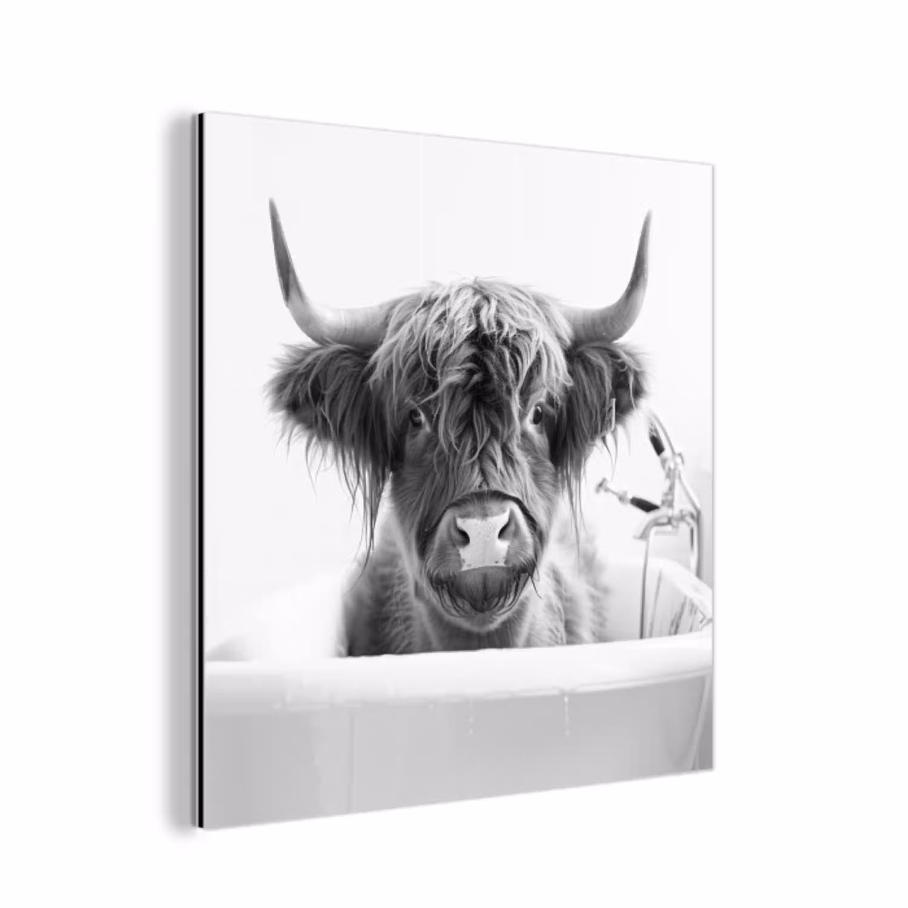 Schotse Hooglander - Koe - Bad - Zwart wit aluminium wit klein -3d
