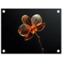 Orchidee - Doorzichtig - Bloem tuinposter los doek klein -3d