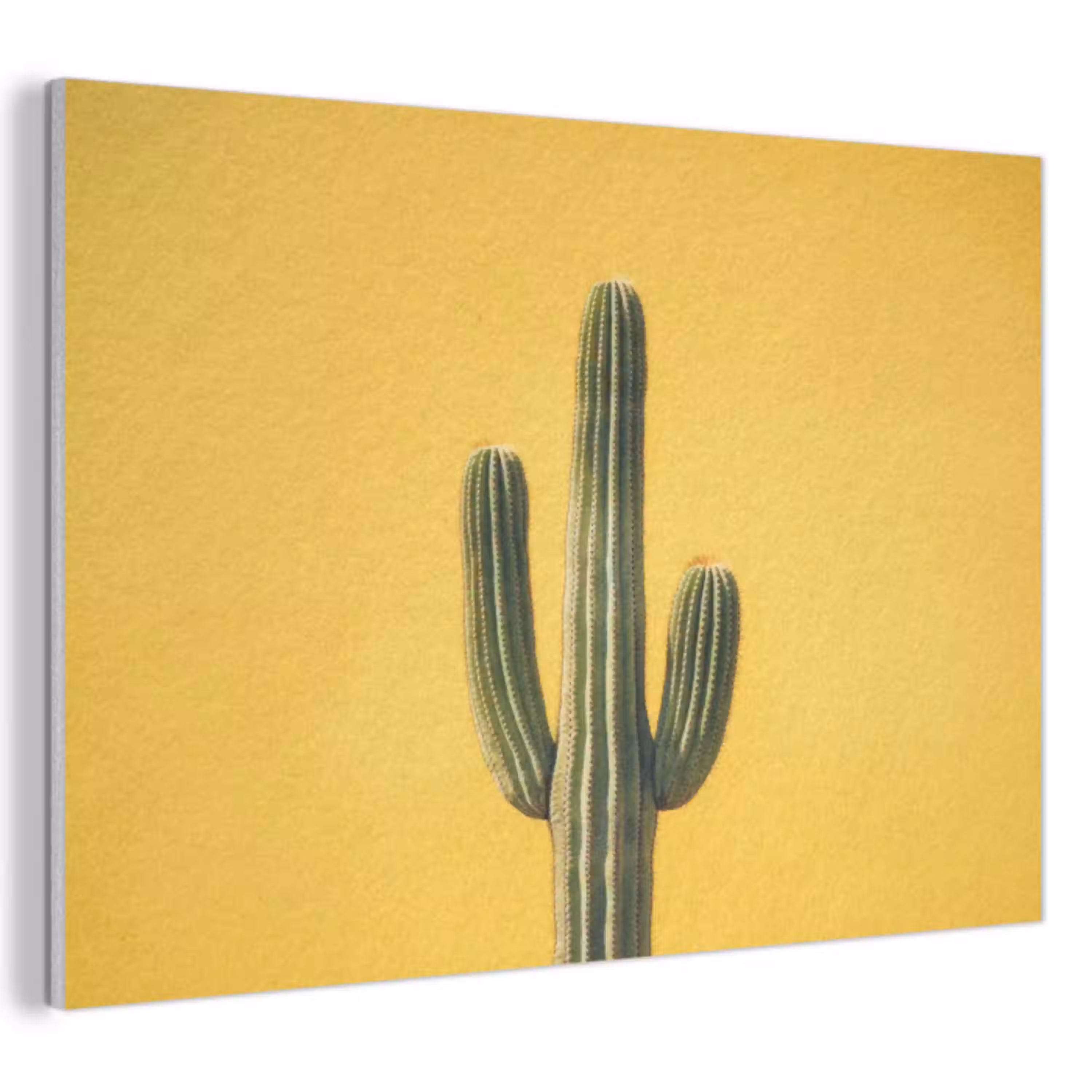 Cactus - Groen - Minimalistisch PET vilt klein -3d