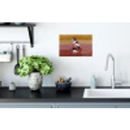 Vogels - Snavel - Abstract Muursticker klein -keuken