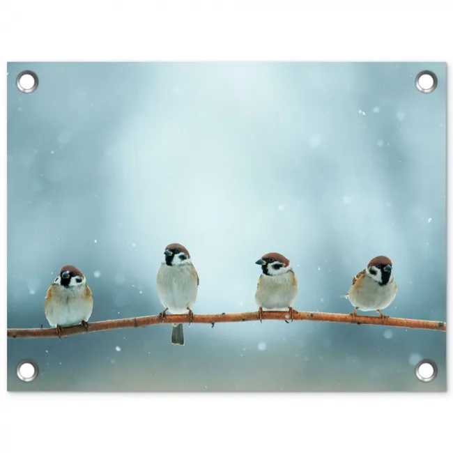 Mussen in de Sneeuw tuinposter los doek klein -3d