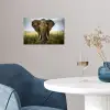 Olifant - Natuur - Gras - Dieren - Landschap poster papier klein -sfeer3