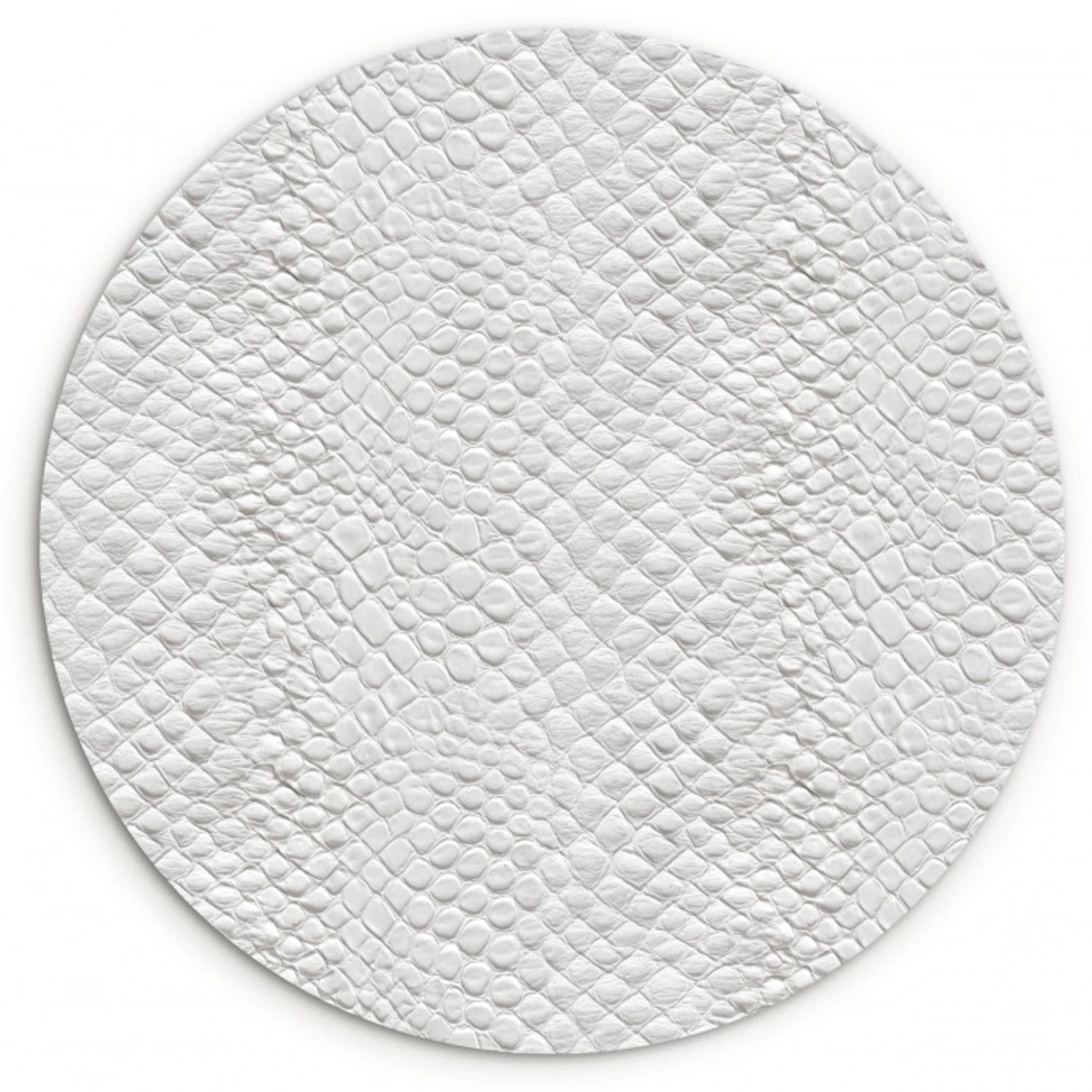 Slang - Patroon - Wit Wandcirkel kunststof plaat 5mm dik klein 188 -3d