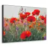 Klaproos - Bloemen - Rood - Paars - Weide Textielframe zwart klein -3d