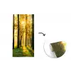 Bos - Zon - Bomen - gras - Landschap fotobehang vinyl groot -3d