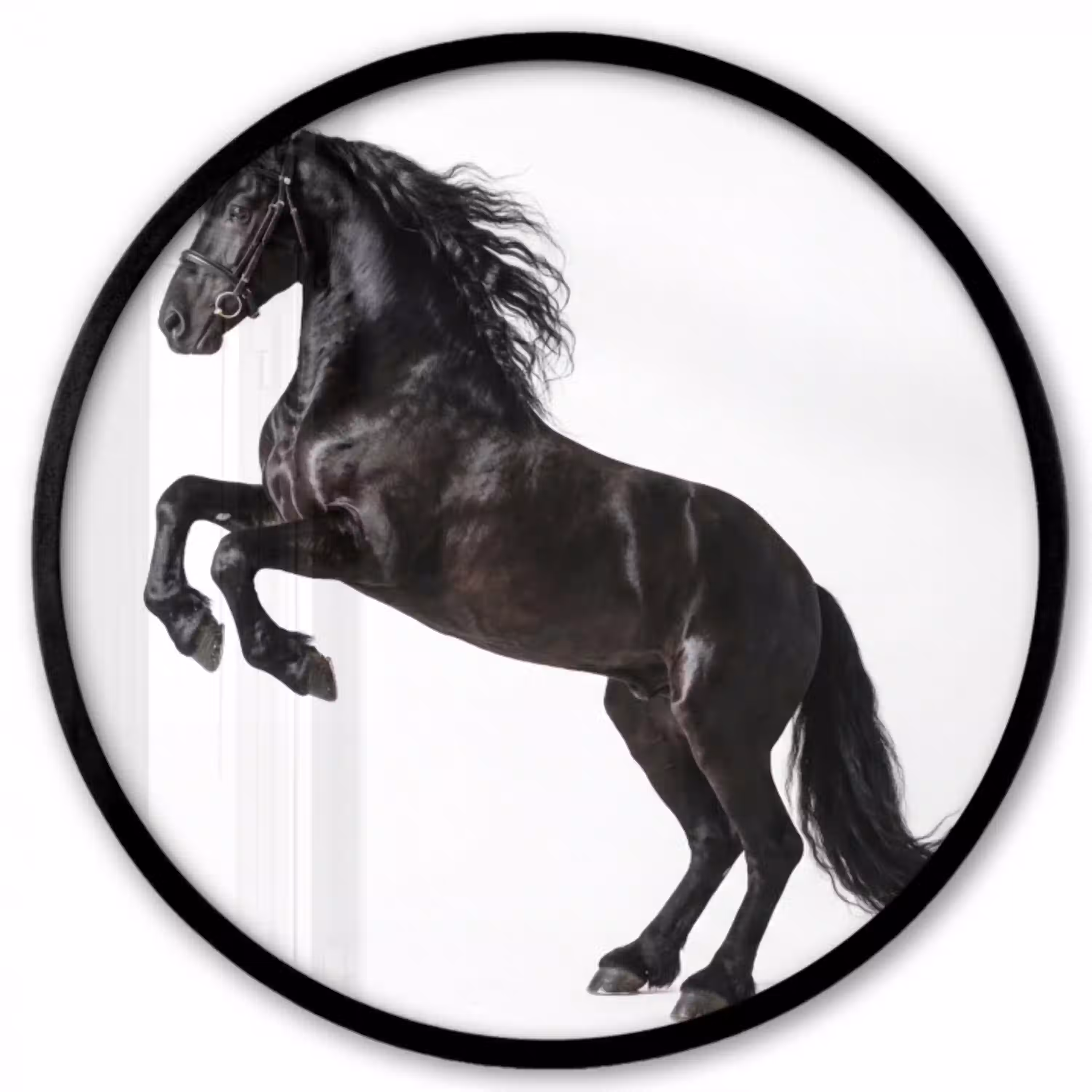 Zwart - Paard - Portret Fotolijst rond zonder passe partout klein -3d