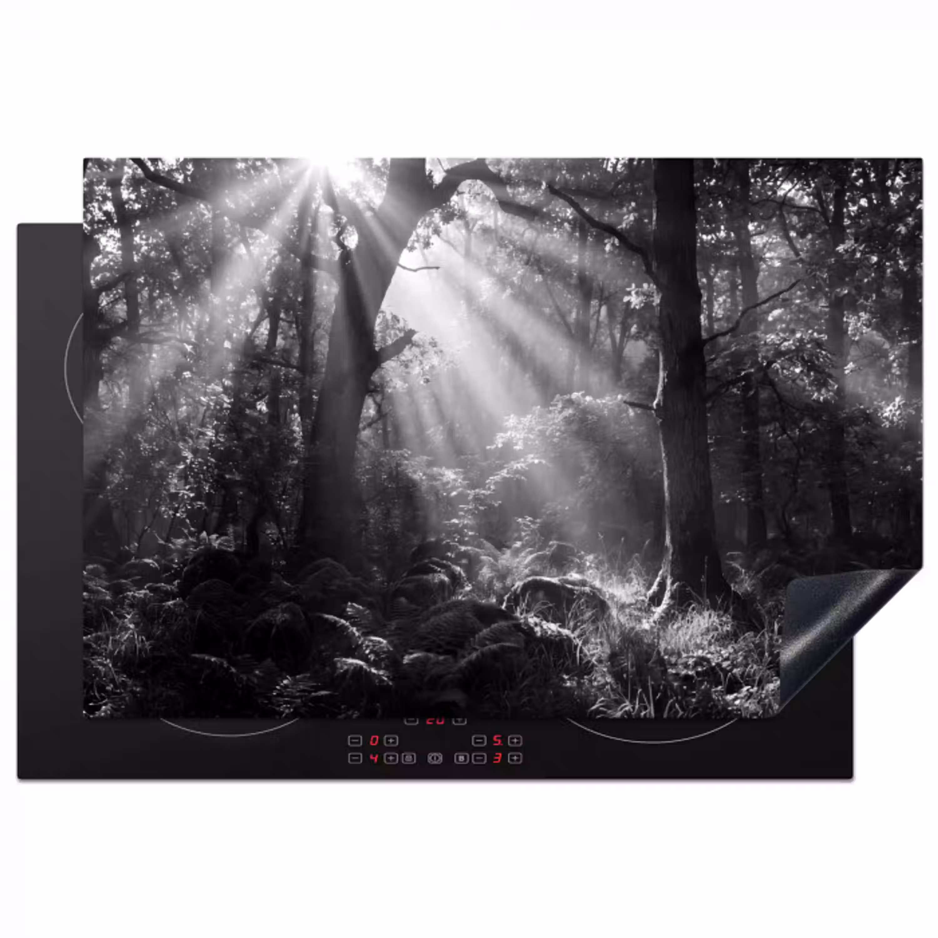 Bos - Lichtstralen - Natuur - Zwart-wit Inductie beschermer vinyl 3mm klein -3d