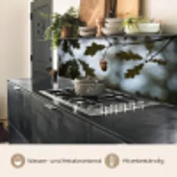 Eikel - Eikenblad - Bos - Herfst - Natuur keuken achterwand 2 middel -usp_DE