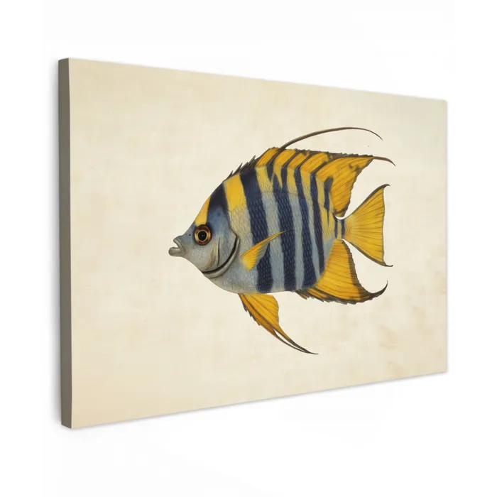 Vis - Sierlijk - Vinnen - Illustratie canvas 2cm klein -z3d