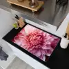 Dahlia - Bloem - Close up - Roze Inductie beschemer met haakjes klein -sfeer1