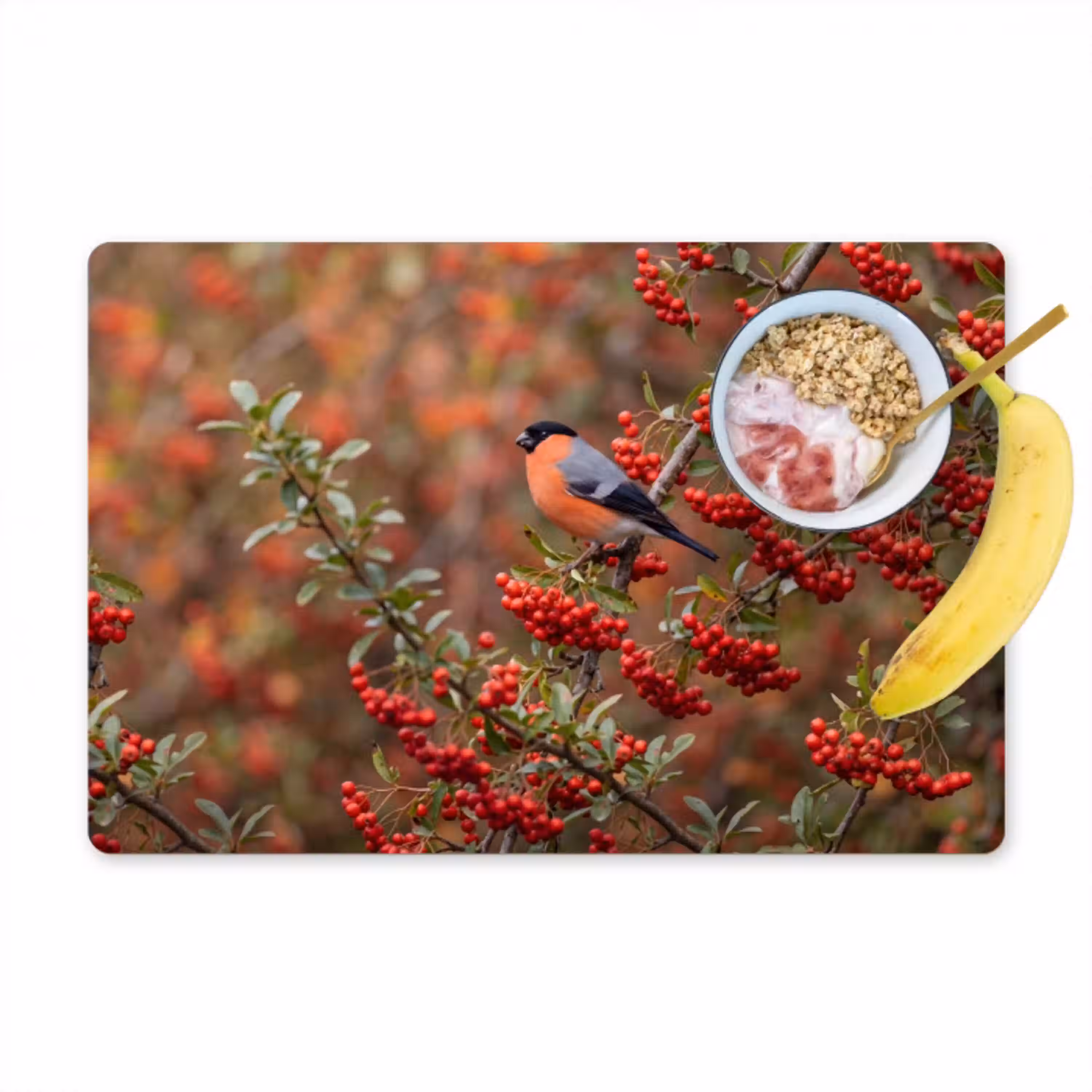 Goudvink - Bessen - Herfst - Natuur - Kleurrijk Placemat vinyl groot -zzzproduct_Kitchenyeah-website