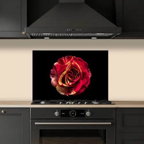 Bloem - Roos - Rood - Zwart keuken achterwand spatscherm klein -sfeer1