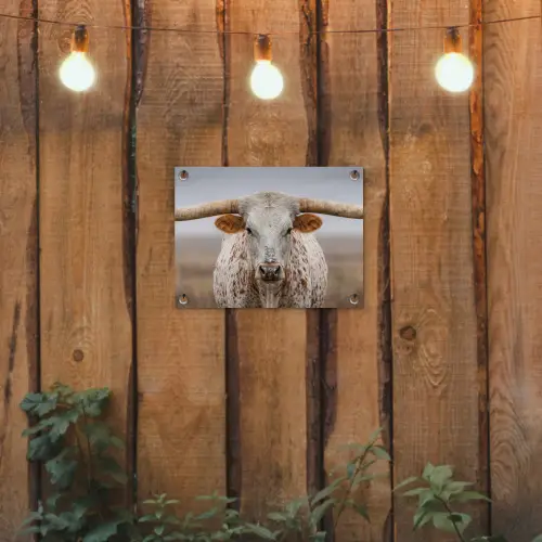 Longhorn - Grasveld - Dier tuinposter los doek klein -sfeer1